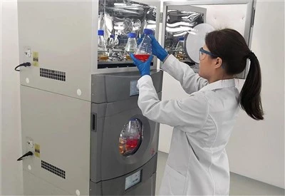 Small Cell Culture Incubator
